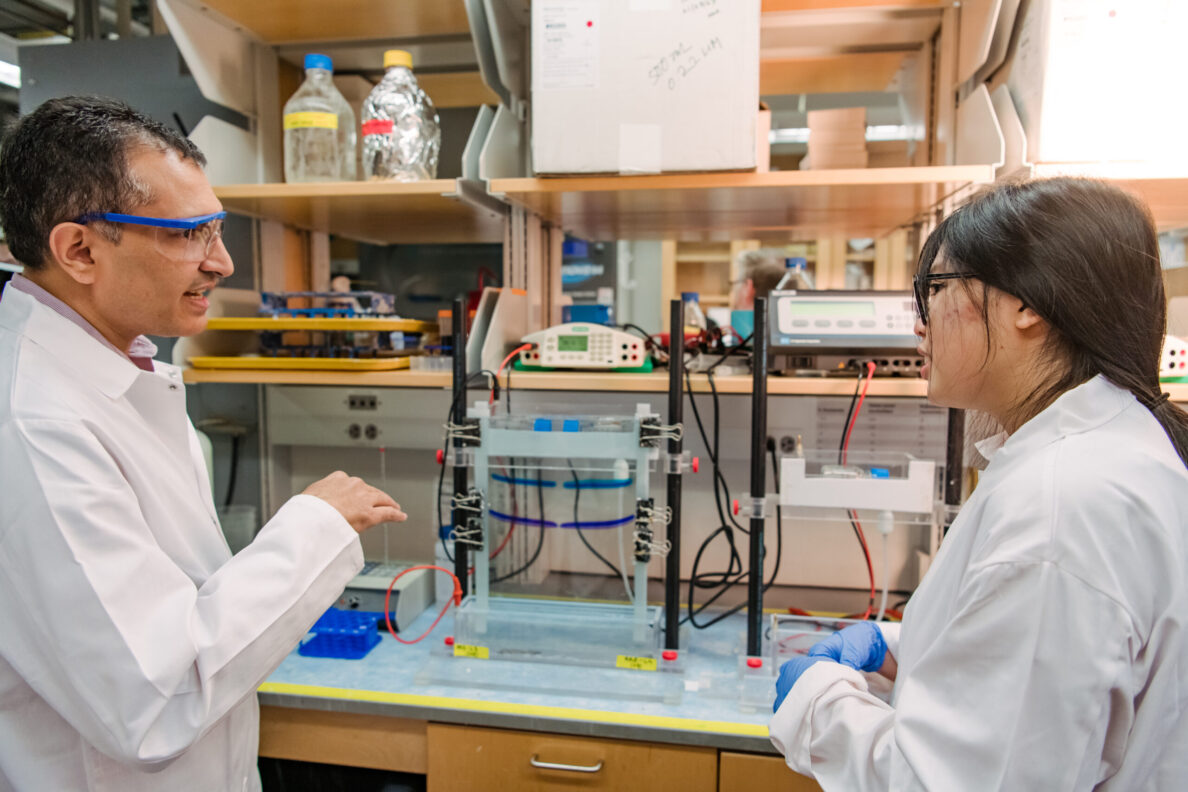 Deepak Koirala To Explore How RNA Viruses Hijack Cellular Machinery, With Eye To Future Drug Treatments