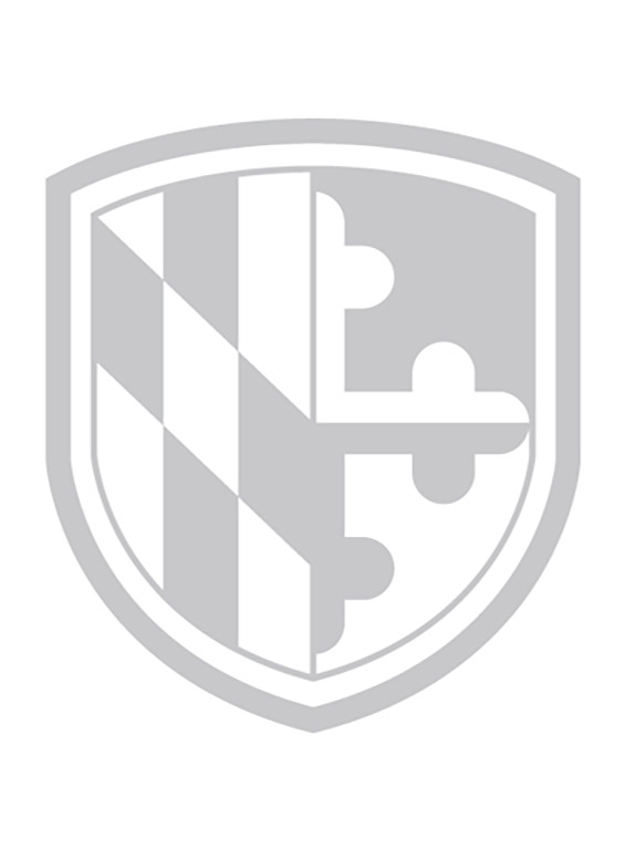 watermark shield logo